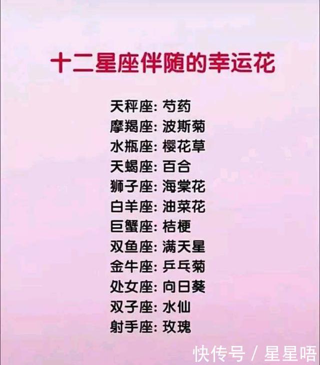 12星座气质如何?十二星座的恋爱天分,十二星座伴随的
