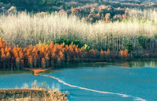 止马岭·南京 止马岭,又名芝麻岭,位于江苏省六合区竹镇毗邻安徽省