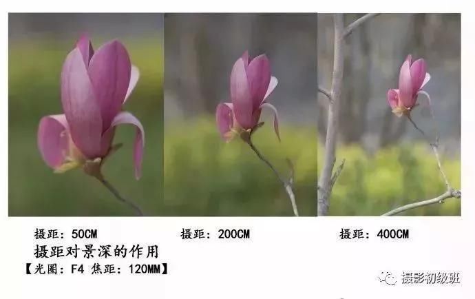 焦距大小的区别_焦距大小的区别_一倍焦距和两倍的区别