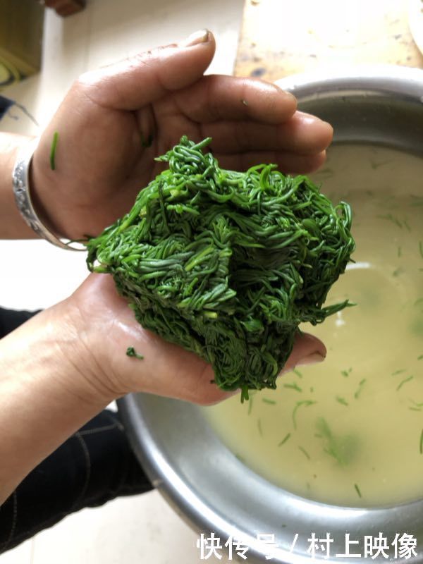 农村随处可见的蓬蓬菜,既治失眠又降血压而且还非常的