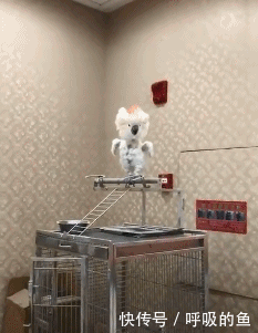 搞笑gif:来我办公室,我要根据情况来决定给你什么处分