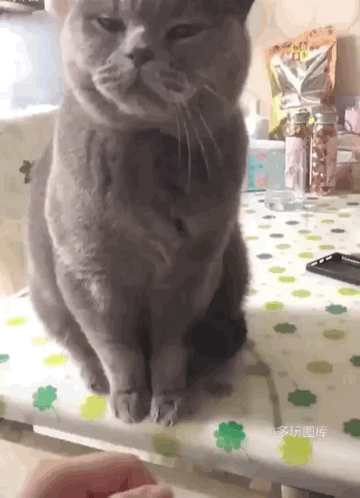 正月初五欢乐送你家,搞笑动态来一波