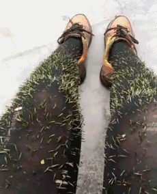 内涵段子:你真幽默,你看我笑的像个100斤的杠铃!