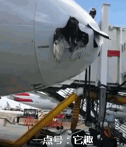 ▼我和你吻鳖,在慌乱的夜!