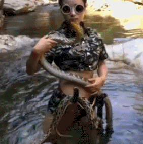 搞笑gif:这是一只祖传的乌龟,已经送走好几代了