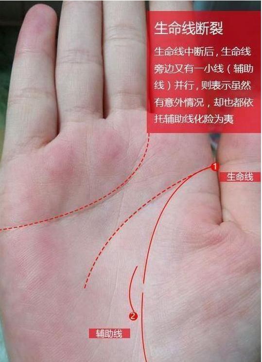 "生命线断,命就短?"掌厚背圆,一世好景色,今生必大富大贵!