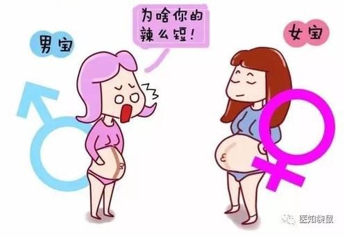 准妈妈肚子上的妊娠线能看出生男生女?