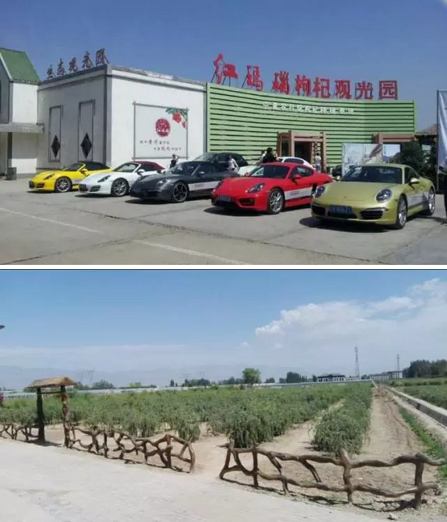 红玛瑙枸杞观光园优惠政策