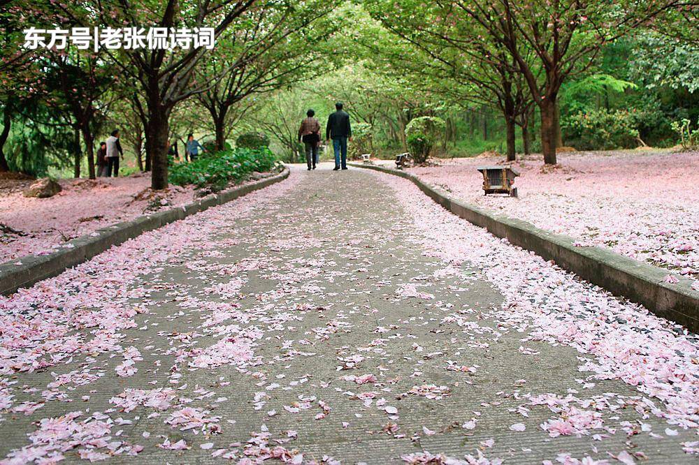 君不见苏轼一句"一树梨花压海棠"流传后世千余年,不也是经不起今天