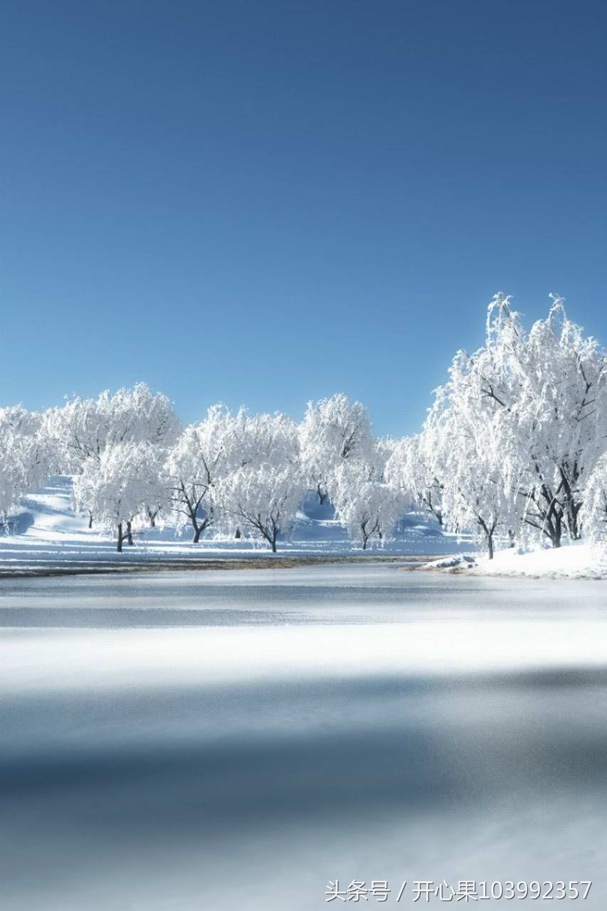 53张难得一见的雪景竖版图片,适合做手机壁纸!
