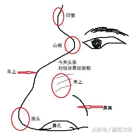 面相口诀刘恒注解,看鼻子知道人品一