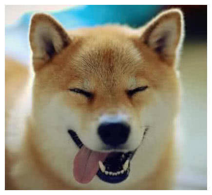 柴犬表情广场表情动态舞狗头包动图图片