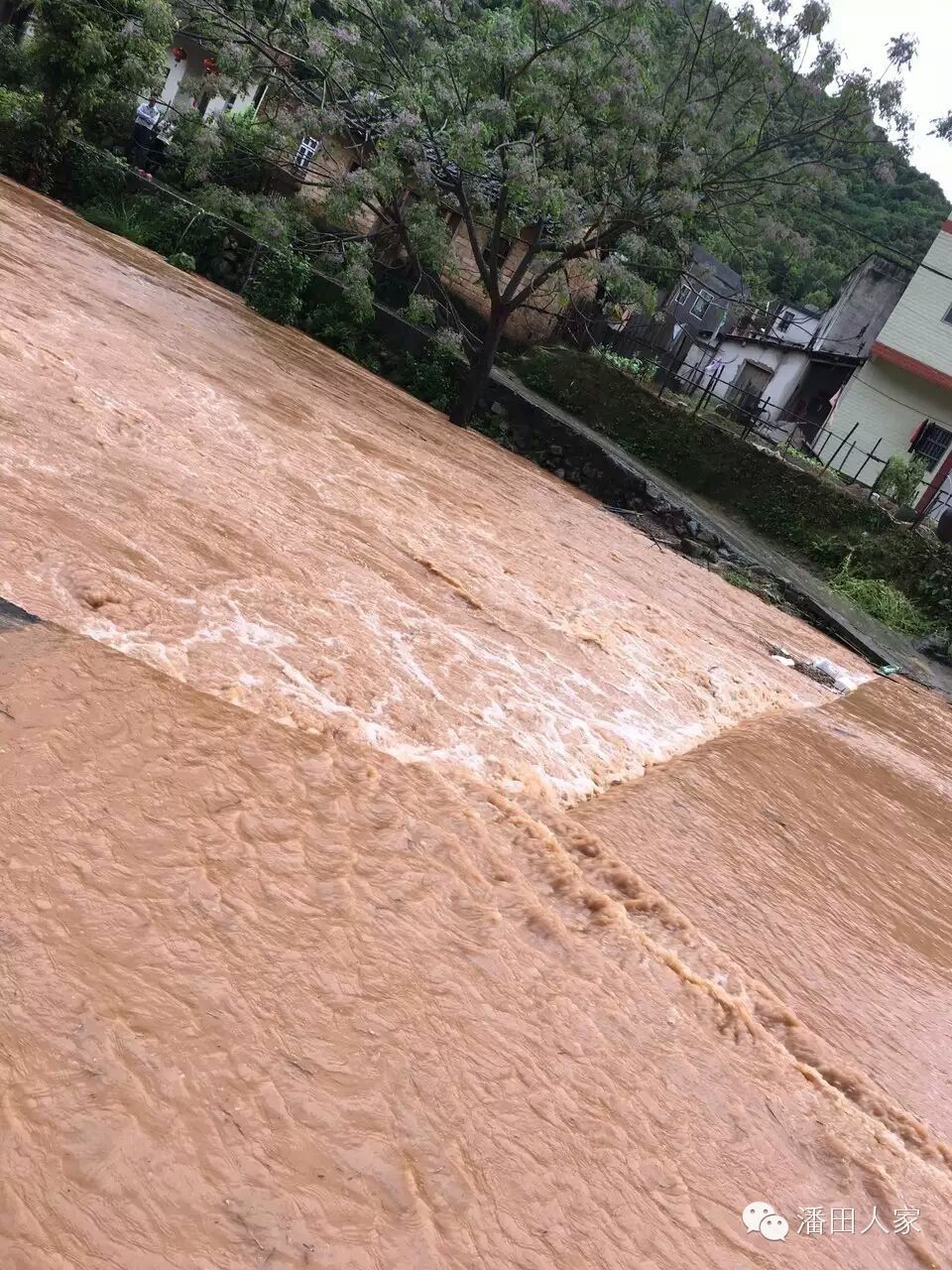 【随手拍】丰顺县潘田镇的山洪水