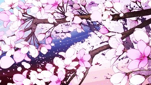 500_281 gif 动态图 动图