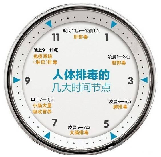 晚上睡觉之前,哪些习惯对肝脏是好的?