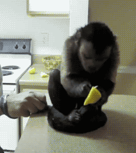 爆笑gif动图:姑娘别哭了,哥哥的心都疼了