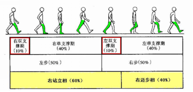 一个正常的步行周期 那么在分析步态时,都会用到哪些数据呢?