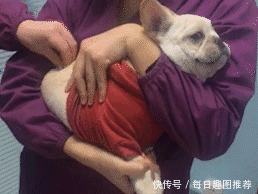 搞笑gif图:小时候打针的你,这表情很到位吧