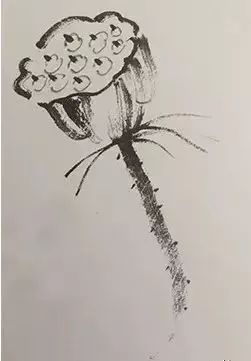 4.蘸浓墨,画出莲子,注意莲子的大小和疏密不均.