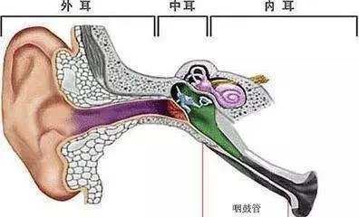 咽鼓管有什么作用?