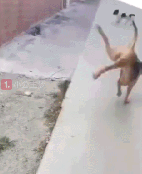 搞笑gif图:过年之后的你,是不是这个样子?