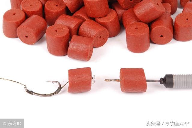 钓鱼时鱼饵挂在哪?别小瞧了这个位置