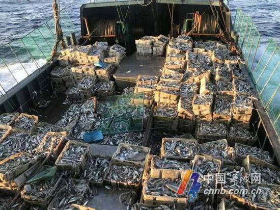宁波渔政部门严打越界非法捕捞 一次抓了10艘船