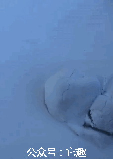 搞笑gif:快把档把藏起来,别让女主播看见了!