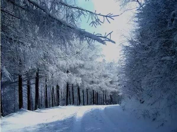 现在有哪些地方已经下雪?