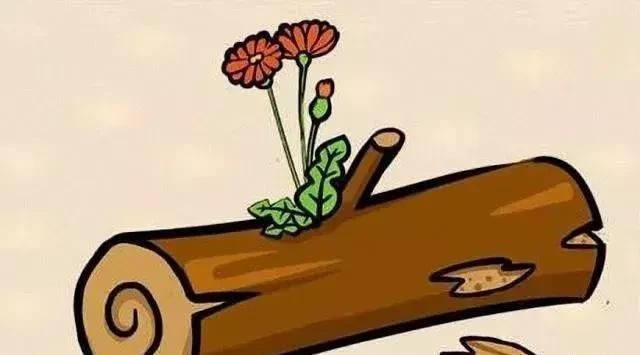 什么猫长成语_成语故事图片(3)