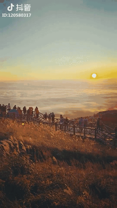 背景 壁纸 风景 天空 桌面 400_711 竖版 竖屏 手机 gif 动态图 动图