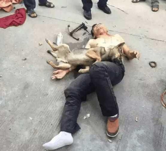 偷狗贼直接被主人开车撞死,死者家属表示杀人偿命