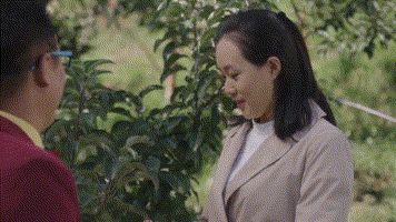 《乡村爱情10》(下)剧情分析