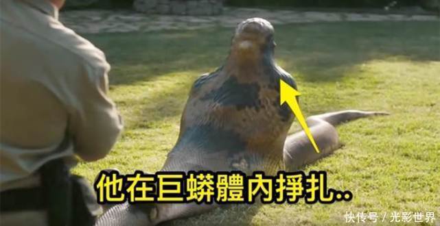 男子想体验被蟒蛇吞下的感觉,当他进去后,结局让人意想不到