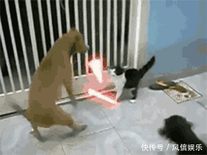 搞笑gif:大哥,你这碰瓷也太拼了吧-北京时间