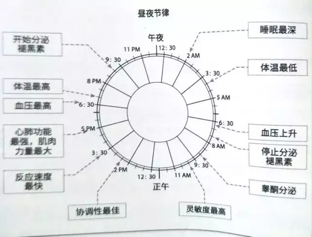 用90分钟时长作为1个睡眠周期.