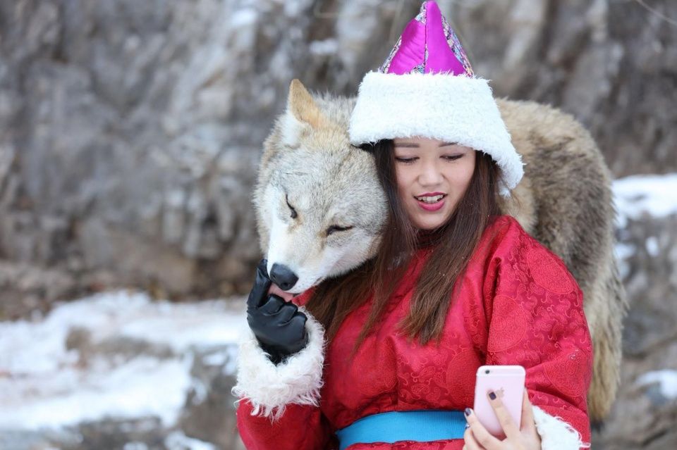 如今杨文静带着她的十只狼包括一只狼王在内,住进了野三坡"野狼谷.