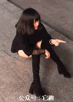 壁纸 动物 狗 狗狗 250_350 竖版 竖屏 手机 gif 动态图 动图