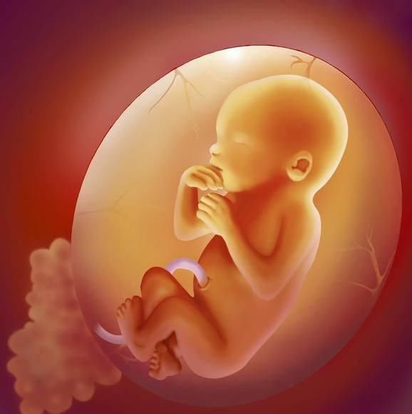 随着胎儿的发育成长,在孕中期一般是15周以后胎儿就可以听到外界有