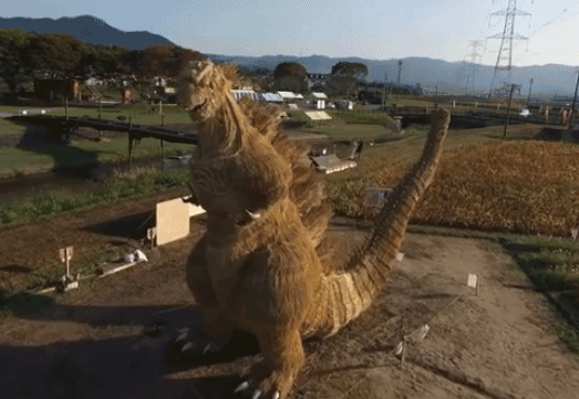 搞笑gif动图:就喜欢这样的姑娘,怎么看都味道