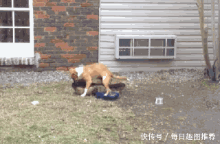 幽默笑话 1.