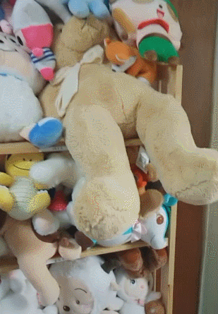 搞笑gif动图:上厕所忘记带抽纸了.来自二狗的反击,表情亮了!