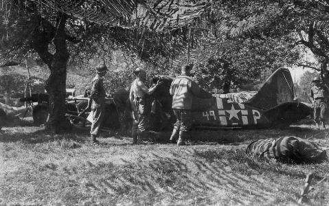 不过,也正是由于他们,盟军的正规部队才得以多次打赢胜仗,实在是功不