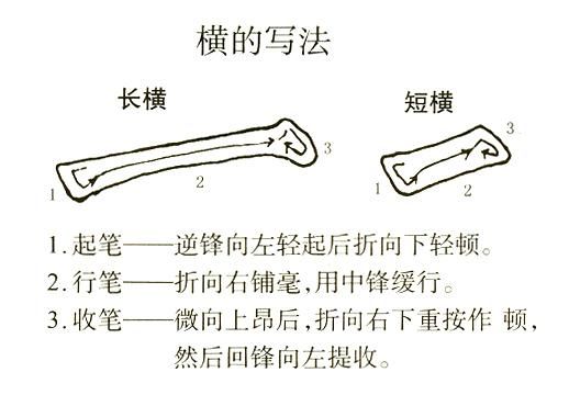 书法教案竖画模板(小学语文:横的书写学习要求及教学要求!