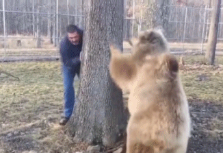 爆笑gif:兄弟这是你至今还单身的原因