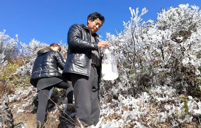 广东缺水下雪背心忙取雪饮用民工蕾丝骷髅图片