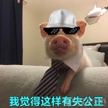 我觉得不行我觉得还行是什么梗 阿岳真的很严格表情包图片