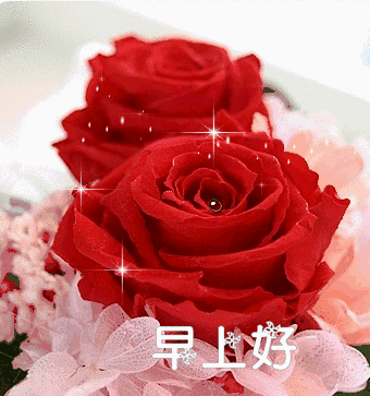 壁纸 花 花束 鲜花 桌面 340_363 gif 动态图 动图