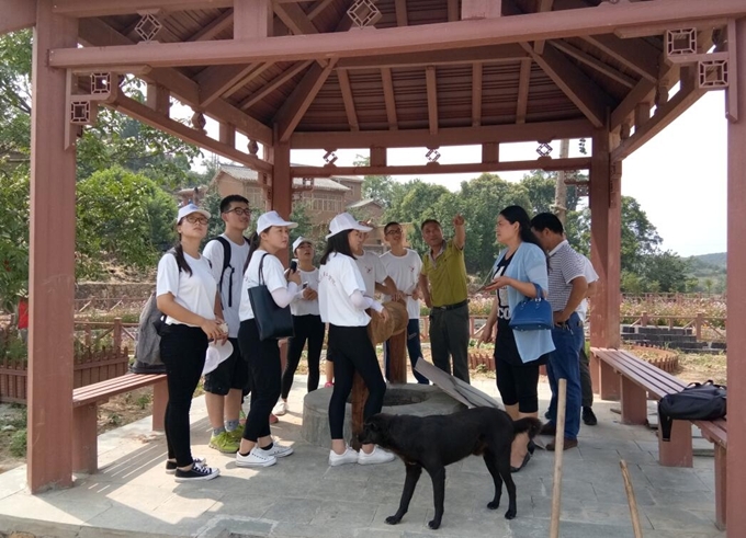 丹江口凉水河镇:醉美乡村"醉倒"最美大学生