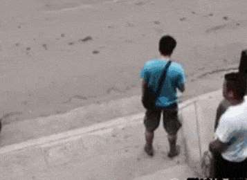 搞笑趣图: 大哥苍蝇而已 需要这样吗